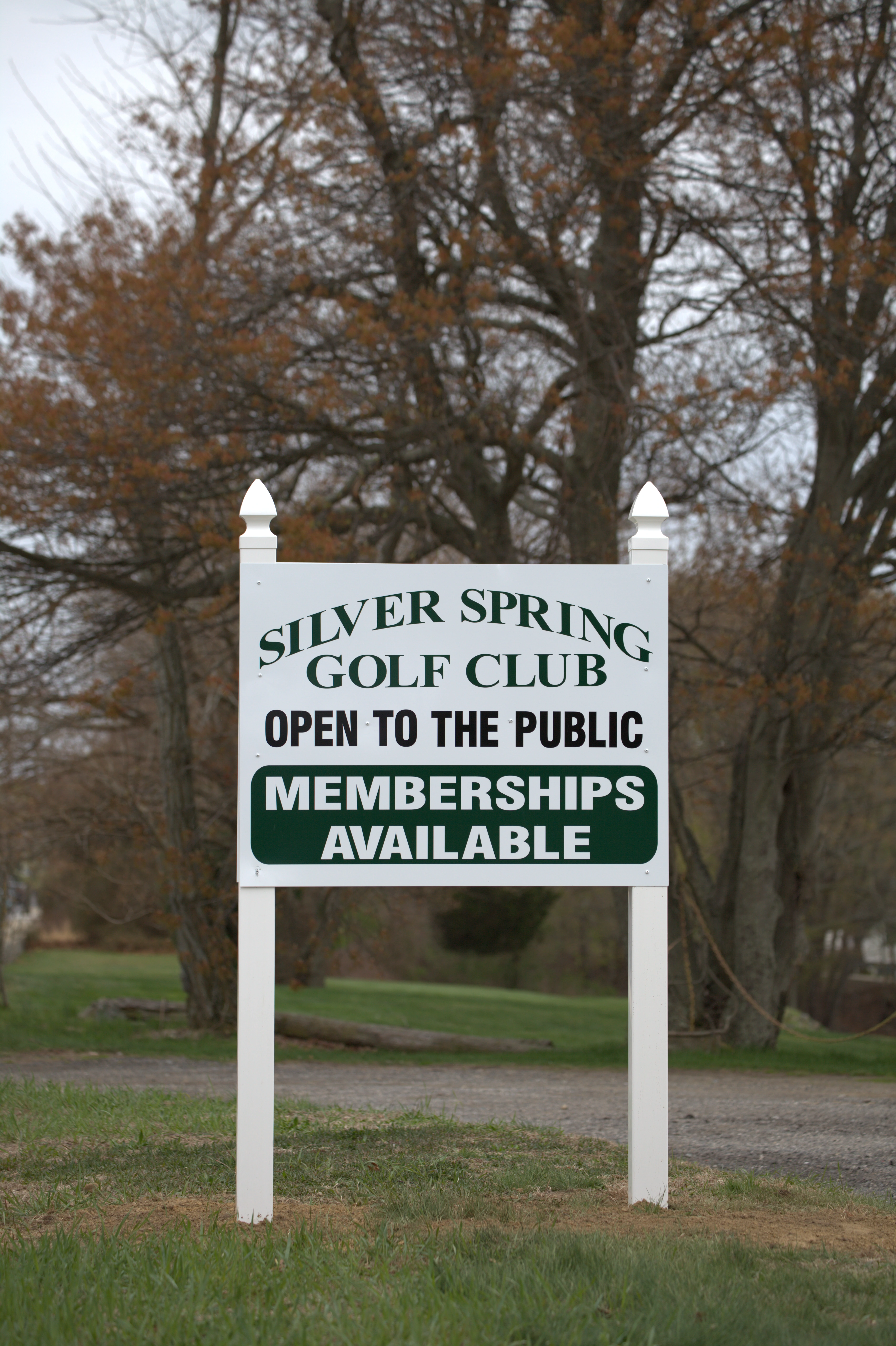 Silver Springs Green