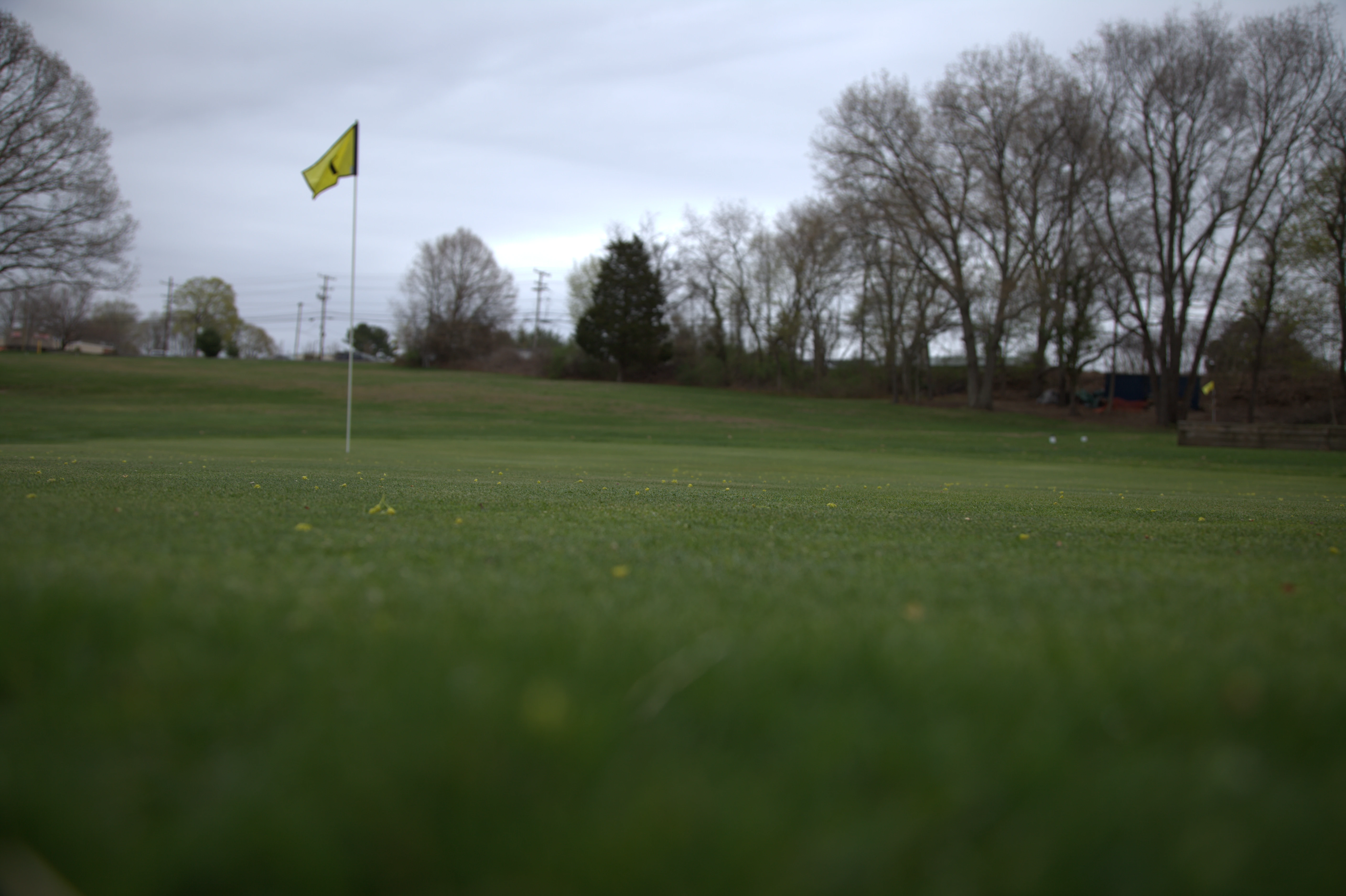 Silver Springs Green