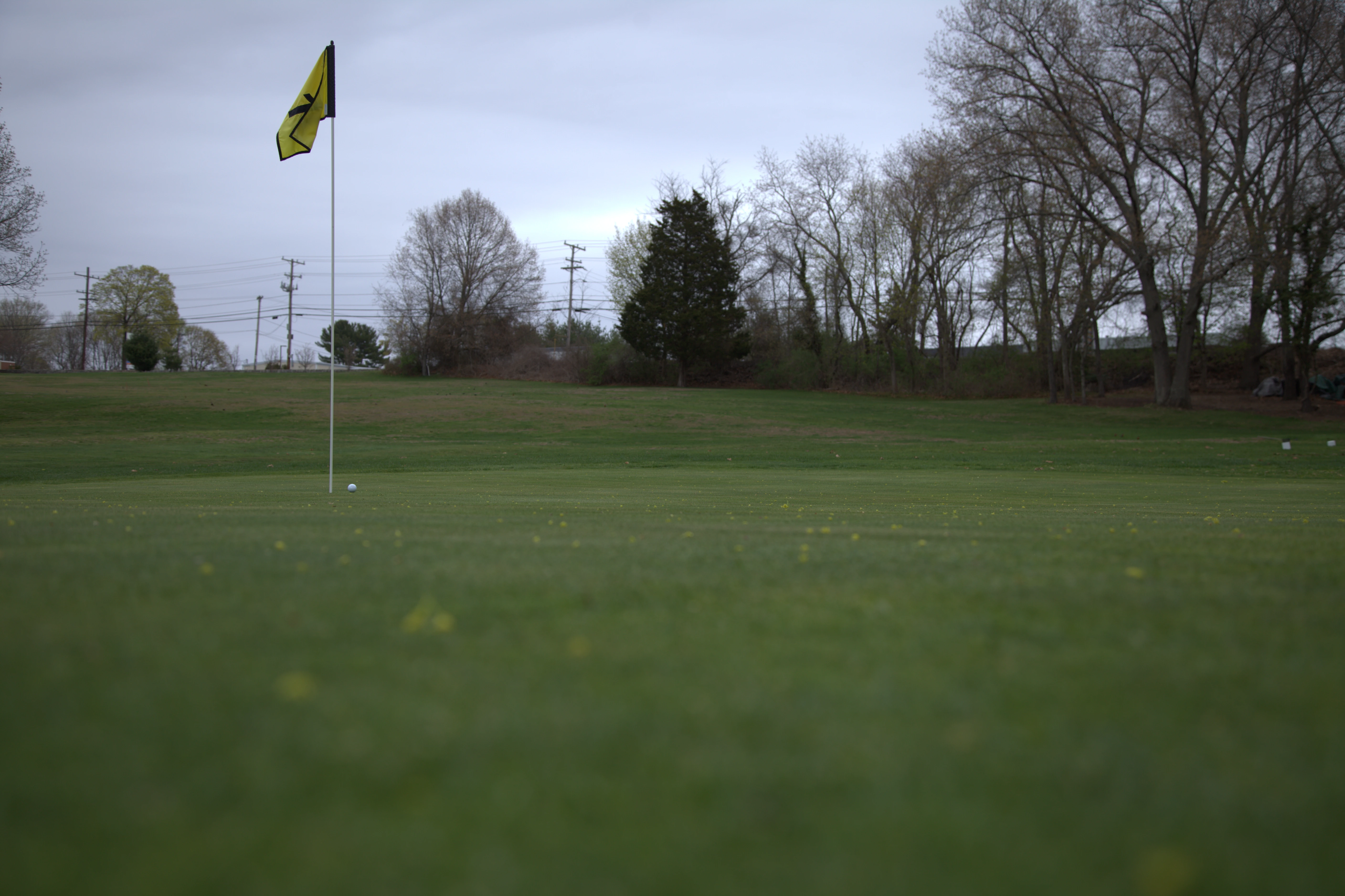 Silver Springs Green